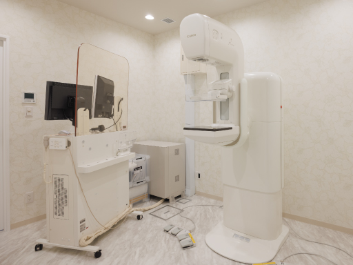 マンモグラフィのイメージ