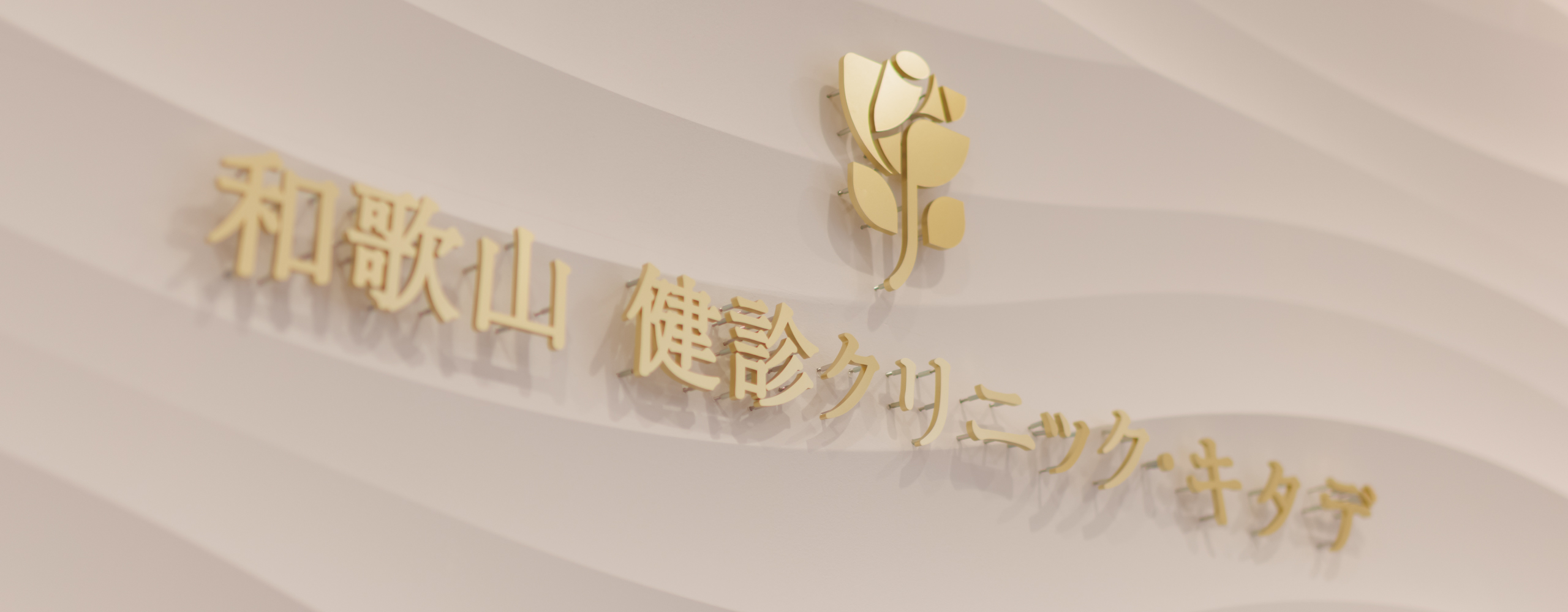 お知らせ・コラム